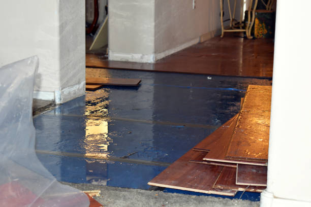 Professional Water Extraction technician working in Leslie, MI